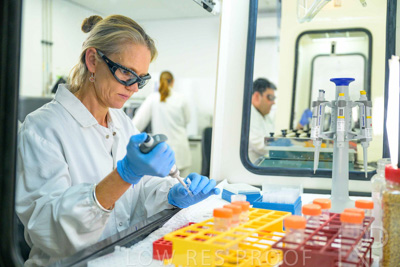 February 2025 / LAB-GM-Testing_250203-_Z9C3997