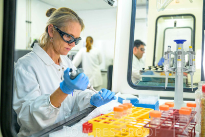 February 2025 / LAB-GM-Testing_250203-_Z9C4014