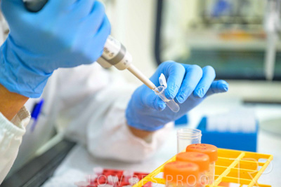 February 2025 / LAB-GM-Testing_250203-_Z9C4050