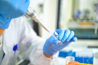 February 2025 / LAB-GM-Testing_250203-_Z9C4066