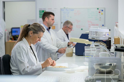 February 2025 / LAB-Grain-Analasys_250203-_Z9C0185