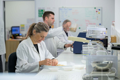 February 2025 / LAB-Grain-Analasys_250203-_Z9C0204