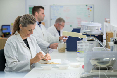 February 2025 / LAB-Grain-Analasys_250203-_Z9C0207