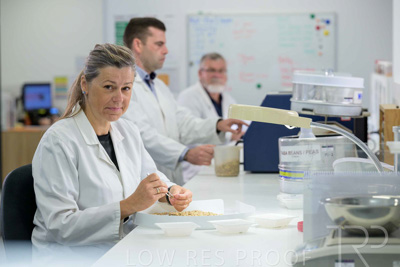 February 2025 / LAB-Grain-Analasys_250203-_Z9C0211