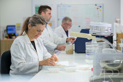 February 2025 / LAB-Grain-Analasys_250203-_Z9C0218