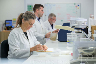 February 2025 / LAB-Grain-Analasys_250203-_Z9C0226