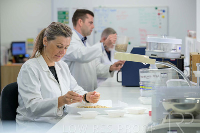 February 2025 / LAB-Grain-Analasys_250203-_Z9C0236