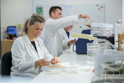 February 2025 / LAB-Grain-Analasys_250203-_Z9C0252