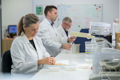 February 2025 / LAB-Grain-Analasys_250203-_Z9C0278