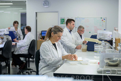 February 2025 / LAB-Grain-Analasys_250203-_Z9C0298