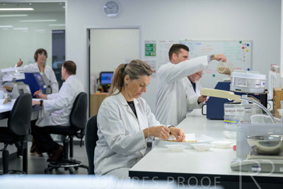 February 2025 / LAB-Grain-Analasys_250203-_Z9C0324