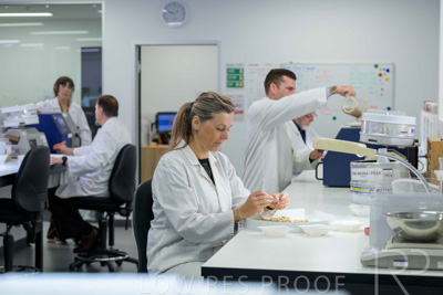 February 2025 / LAB-Grain-Analasys_250203-_Z9C0331