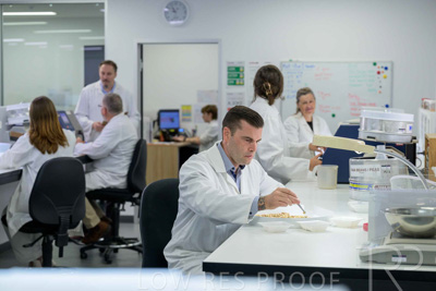 February 2025 / LAB-Grain-Analasys_250203-_Z9C0339