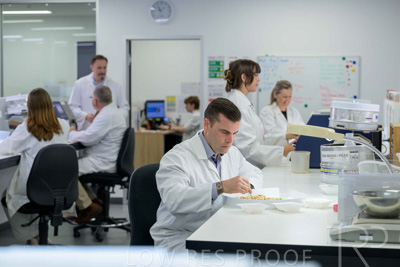 February 2025 / LAB-Grain-Analasys_250203-_Z9C0342