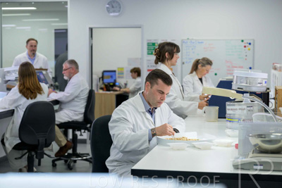 February 2025 / LAB-Grain-Analasys_250203-_Z9C0349