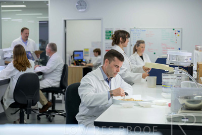 February 2025 / LAB-Grain-Analasys_250203-_Z9C0355