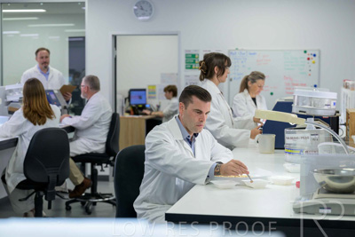 February 2025 / LAB-Grain-Analasys_250203-_Z9C0361