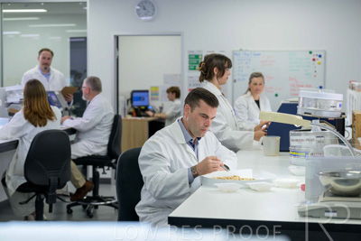 February 2025 / LAB-Grain-Analasys_250203-_Z9C0370