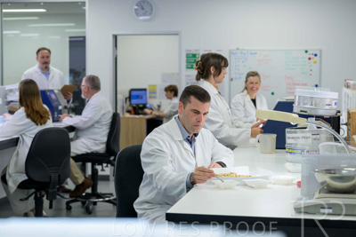 February 2025 / LAB-Grain-Analasys_250203-_Z9C0372