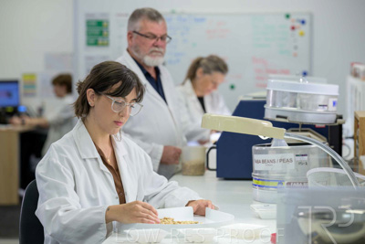 February 2025 / LAB-Grain-Analasys_250203-_Z9C0448