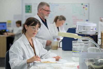 February 2025 / LAB-Grain-Analasys_250203-_Z9C0456