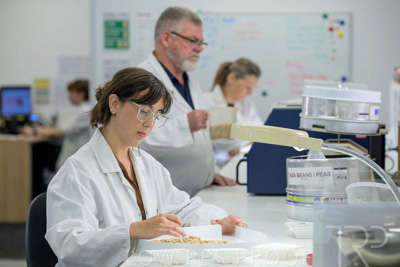 February 2025 / LAB-Grain-Analasys_250203-_Z9C0462