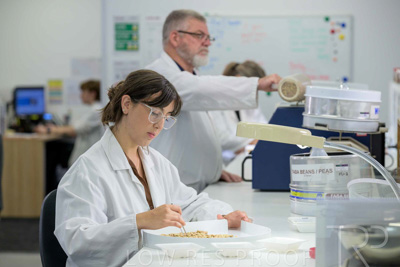 February 2025 / LAB-Grain-Analasys_250203-_Z9C0466