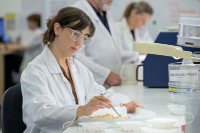 February 2025 / LAB-Grain-Analasys_250203-_Z9C0472