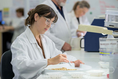 February 2025 / LAB-Grain-Analasys_250203-_Z9C0476