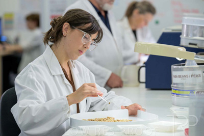 February 2025 / LAB-Grain-Analasys_250203-_Z9C0479