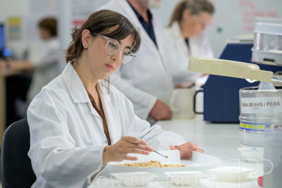 February 2025 / LAB-Grain-Analasys_250203-_Z9C0494