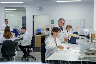 February 2025 / LAB-Grain-Analasys_250203-_Z9C0503