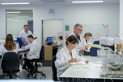 February 2025 / LAB-Grain-Analasys_250203-_Z9C0507