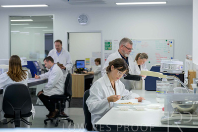 February 2025 / LAB-Grain-Analasys_250203-_Z9C0512