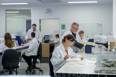 February 2025 / LAB-Grain-Analasys_250203-_Z9C0520