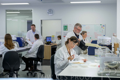 February 2025 / LAB-Grain-Analasys_250203-_Z9C0535