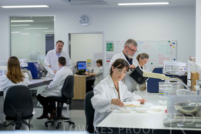 February 2025 / LAB-Grain-Analasys_250203-_Z9C0541