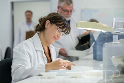 February 2025 / LAB-Grain-Analasys_250203-_Z9C0551