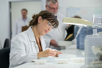 February 2025 / LAB-Grain-Analasys_250203-_Z9C0553