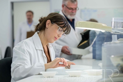 February 2025 / LAB-Grain-Analasys_250203-_Z9C0556