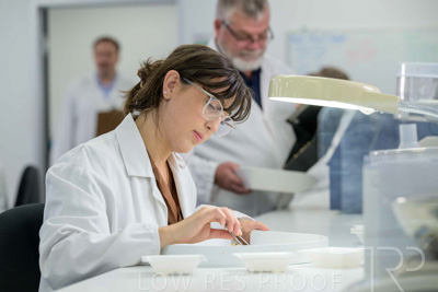 February 2025 / LAB-Grain-Analasys_250203-_Z9C0559