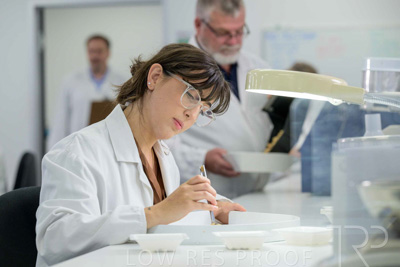 February 2025 / LAB-Grain-Analasys_250203-_Z9C0567