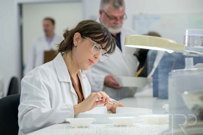 February 2025 / LAB-Grain-Analasys_250203-_Z9C0575