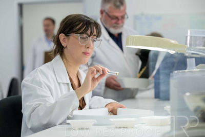 February 2025 / LAB-Grain-Analasys_250203-_Z9C0583