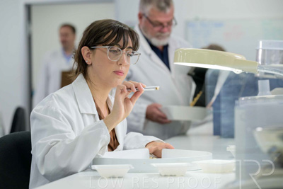 February 2025 / LAB-Grain-Analasys_250203-_Z9C0585