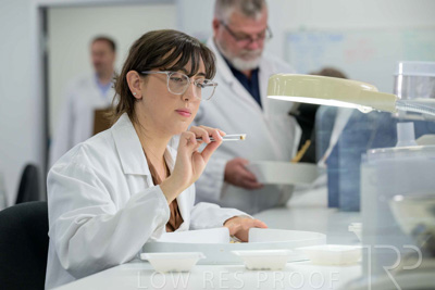 February 2025 / LAB-Grain-Analasys_250203-_Z9C0587