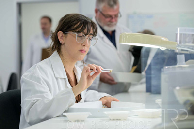 February 2025 / LAB-Grain-Analasys_250203-_Z9C0590