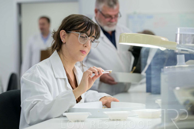 February 2025 / LAB-Grain-Analasys_250203-_Z9C0594