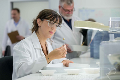 February 2025 / LAB-Grain-Analasys_250203-_Z9C0600