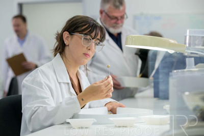 February 2025 / LAB-Grain-Analasys_250203-_Z9C0601